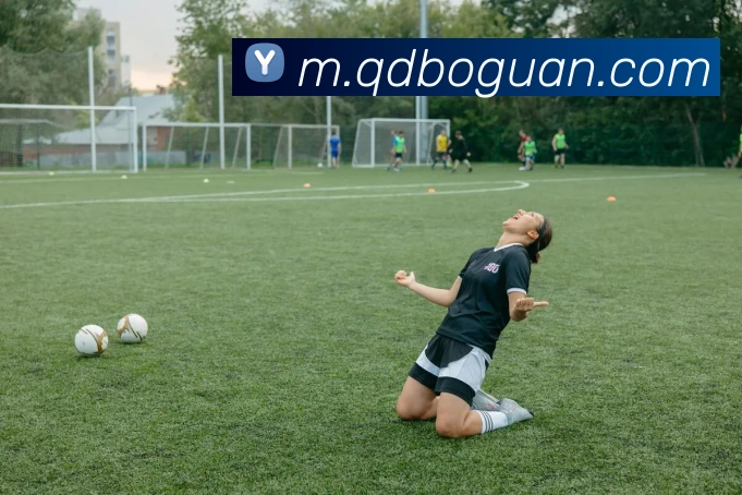 星空网官网登录入口服务体系